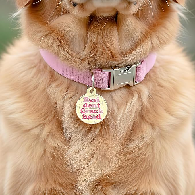 Bad Tags Personalized Dog & Cat ID Tags - Choose from 25+ Tag Designs - Free 5 Lines Custom Engraved - Unique, Cute, Funny, Sassy Pet Tag (Resident Crackhead - Yellow, Small (1 inch))