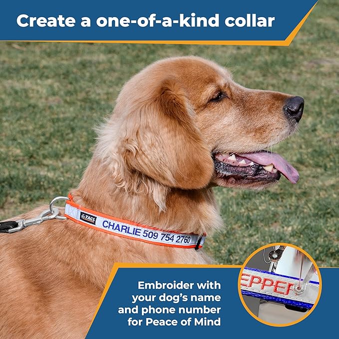 GoTags Reflective Personalized Dog Collar, Custom Embroidered with Pet Name and Phone Number in Orange for Boy and Girl Dogs, Adjustable Large