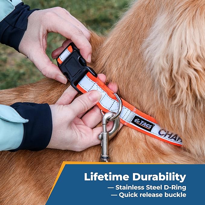 GoTags Reflective Personalized Dog Collar, Custom Embroidered Safety Collar with Pet Name and Phone Number for Boy and Girl Dogs, Small, Medium, and Large Adjustable Sizes (Medium, Hunter Green)