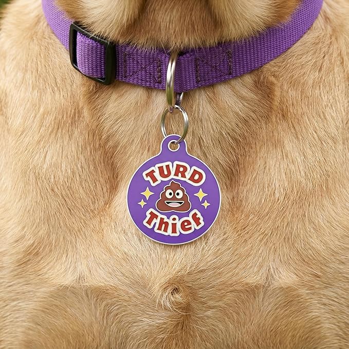 Bad Tags Personalized Dog & Cat ID Tags - Choose from 25+ Tag Designs - Free 5 Lines Custom Engraved - Unique, Cute, Funny, Sassy Pet Tag (Turd Thief, Large (1.25 inch))