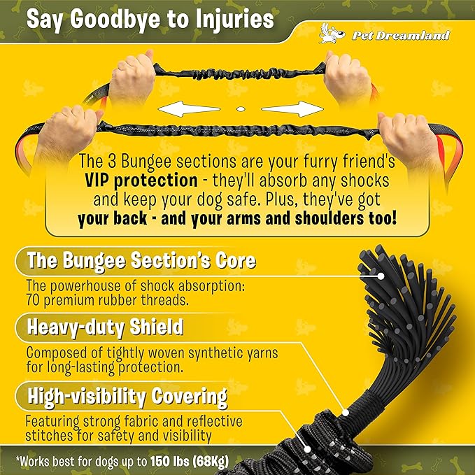 Pet Dreamland Exquisite Hands Free Dual Dog Leash for Medium Dogs. Trending Waist Leash for Walking 2 Dogs No Tangle. You Will Absolutely Love This Amazing Double Dog Gear (Dark Grey & Pink)