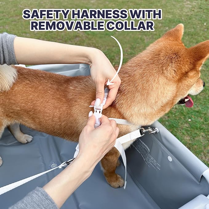 Dog Bathtub Dog Washing Station with Scrubber for Medium Dogs Under 66lbs or Two Small Pets, B4 Plus Foldable Dog Tub for Bathing and Grooming, Portable Collapsible Dog Shower Tub