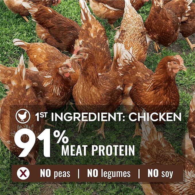 NATURE'S LOGIC Pure Naturals™ 100% Natural Chicken Recipe Synthetic-Free Dry Dog Food, 4.4 lbs