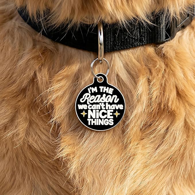 Bad Tags Personalized Dog & Cat ID Tags - Choose from 25+ Tag Designs - Free 5 Lines Custom Engraved - Unique, Cute, Funny, Sassy Pet Tag (I'm The Reason We Can't Have Nice Things, Large (1.25 inch))