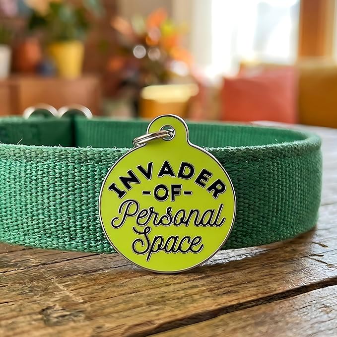 Bad Tags Personalized Dog & Cat ID Tags - Choose from 25+ Tag Designs - Free 5 Lines Custom Engraved - Unique, Cute, Funny, Sassy Pet Tag (Invader of Personal Space - Green, Small (1 inch))