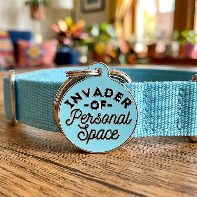 Bad Tags Personalized Dog & Cat ID Tags - Choose from 25+ Tag Designs - Free 5 Lines Custom Engraved - Unique, Cute, Funny, Sassy Pet Tag (Invader of Personal Space - Blue, Large (1.25 inch))