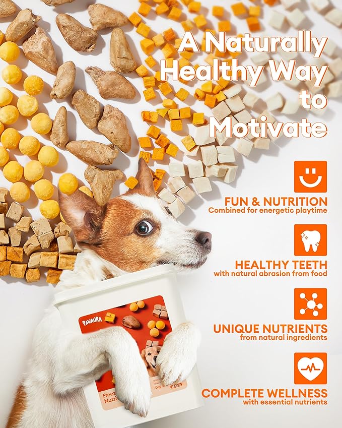 Freeze Dried Treats for Cats & Dogs, Sealed Box, 17.63 oz, Bite-Sized, Protein-Packed with Chicken, Quail Egg Yolk, Hearts, Liver, Salmonr, Pumpkin – Natural, Additive-Free Training Snacks